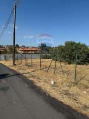 Foto Terreno agricolo in vendita a Mascalucia