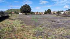 Foto Terreno agricolo in vendita a Mascalucia