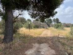 Foto Terreno agricolo in vendita a Matino