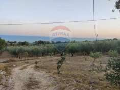 Foto Terreno agricolo in vendita a Mattinata