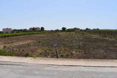 Foto Terreno agricolo in vendita a Mazara Del Vallo