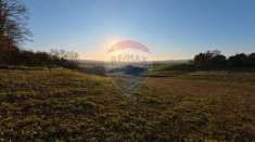 Foto Terreno agricolo in vendita a Mazzano Romano