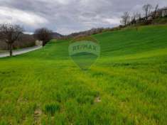 Foto Terreno agricolo in vendita a Medesano