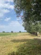 Foto Terreno agricolo in vendita a Melilli