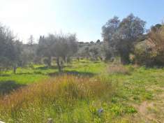 Foto Terreno agricolo in vendita a Mentana