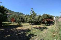 Foto Terreno agricolo in vendita a Mercato San Severino