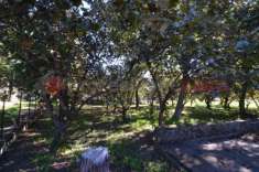 Foto Terreno agricolo in vendita a Mercato San Severino