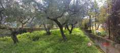 Foto Terreno agricolo in vendita a Messina