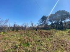 Foto Terreno agricolo in vendita a Messina