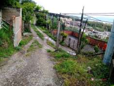 Foto Terreno agricolo in vendita a Messina