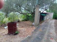 Foto Terreno agricolo in vendita a Messina