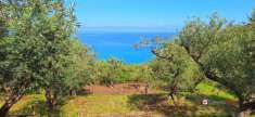 Foto Terreno agricolo in vendita a Messina