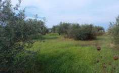 Foto Terreno agricolo in vendita a Messina