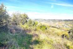 Foto Terreno agricolo in vendita a Miglianico