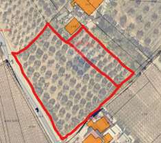 Foto Terreno agricolo in vendita a Miglianico