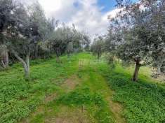 Foto Terreno agricolo in vendita a Milazzo