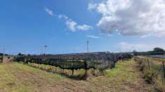 Foto Terreno agricolo in vendita a Milazzo