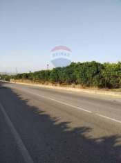 Foto Terreno agricolo in vendita a Mineo