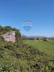 Foto Terreno agricolo in vendita a Minturno