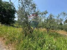 Foto Terreno agricolo in vendita a Minturno