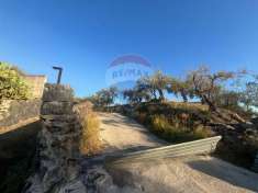 Foto Terreno agricolo in vendita a Misterbianco