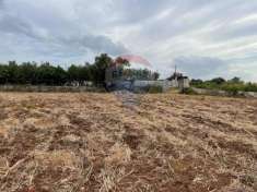 Foto Terreno agricolo in vendita a Mola Di Bari