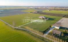 Foto Terreno agricolo in vendita a Molinella