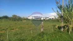Foto Terreno agricolo in vendita a Monforte San Giorgio