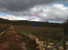 Foto Terreno agricolo in vendita a Monopoli