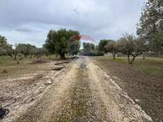 Foto Terreno agricolo in vendita a Monopoli