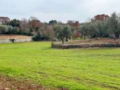 Foto Terreno agricolo in vendita a Monopoli