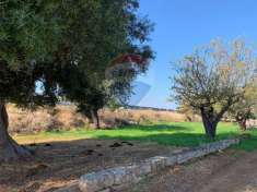Foto Terreno agricolo in vendita a Monopoli