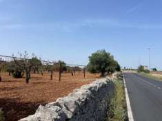 Foto Terreno agricolo in vendita a Monopoli