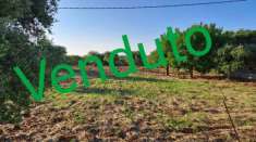 Foto Terreno agricolo in vendita a Monopoli
