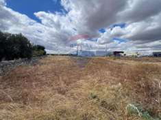 Foto Terreno agricolo in vendita a Monopoli