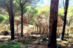 Foto Terreno agricolo in vendita a Monreale