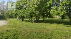 Foto Terreno agricolo in vendita a Monselice