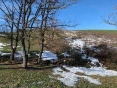 Foto Terreno agricolo in vendita a Monte San Pietro