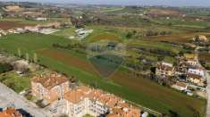 Foto Terreno agricolo in vendita a Monte San Vito