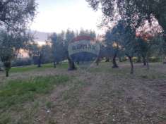 Foto Terreno agricolo in vendita a Monte Sant'Angelo