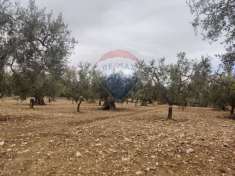 Foto Terreno agricolo in vendita a Monte Sant'Angelo
