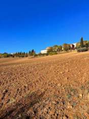 Foto Terreno agricolo in vendita a Monte Urano