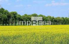 Foto Terreno agricolo in vendita a Montebelluna