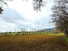 Foto Terreno agricolo in vendita a Montecastrilli