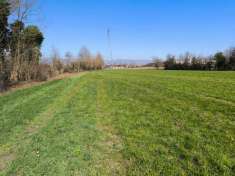 Foto Terreno agricolo in vendita a Montecchio Precalcino