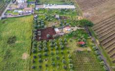 Foto Terreno agricolo in vendita a Montecompatri