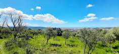 Foto Terreno agricolo in vendita a Montecorvino Rovella