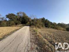 Foto Terreno agricolo in vendita a Montecosaro