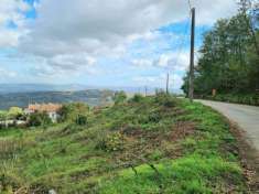 Foto Terreno agricolo in vendita a Montefalcione
