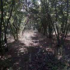 Foto Terreno Agricolo in vendita a Montefredane